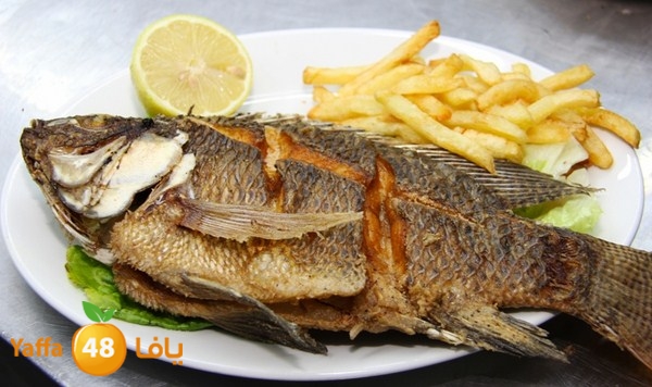 3ajorz ba7ar 939 (6).JPG